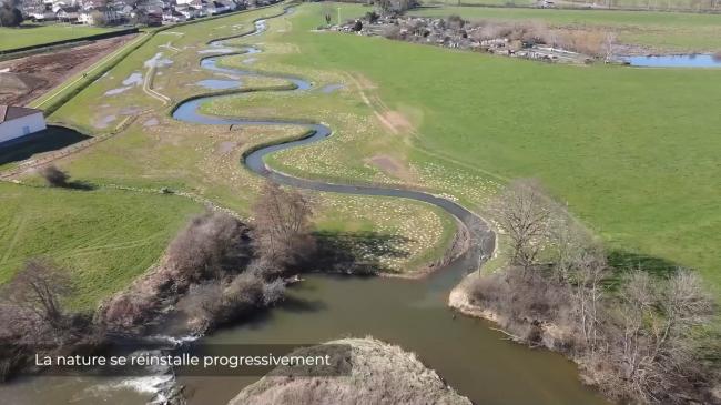 Le Bézo retrouve son cours naturel : une renaissance pour la biodiversité